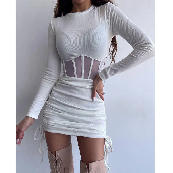 Shirring Mesh Bodycon Dress